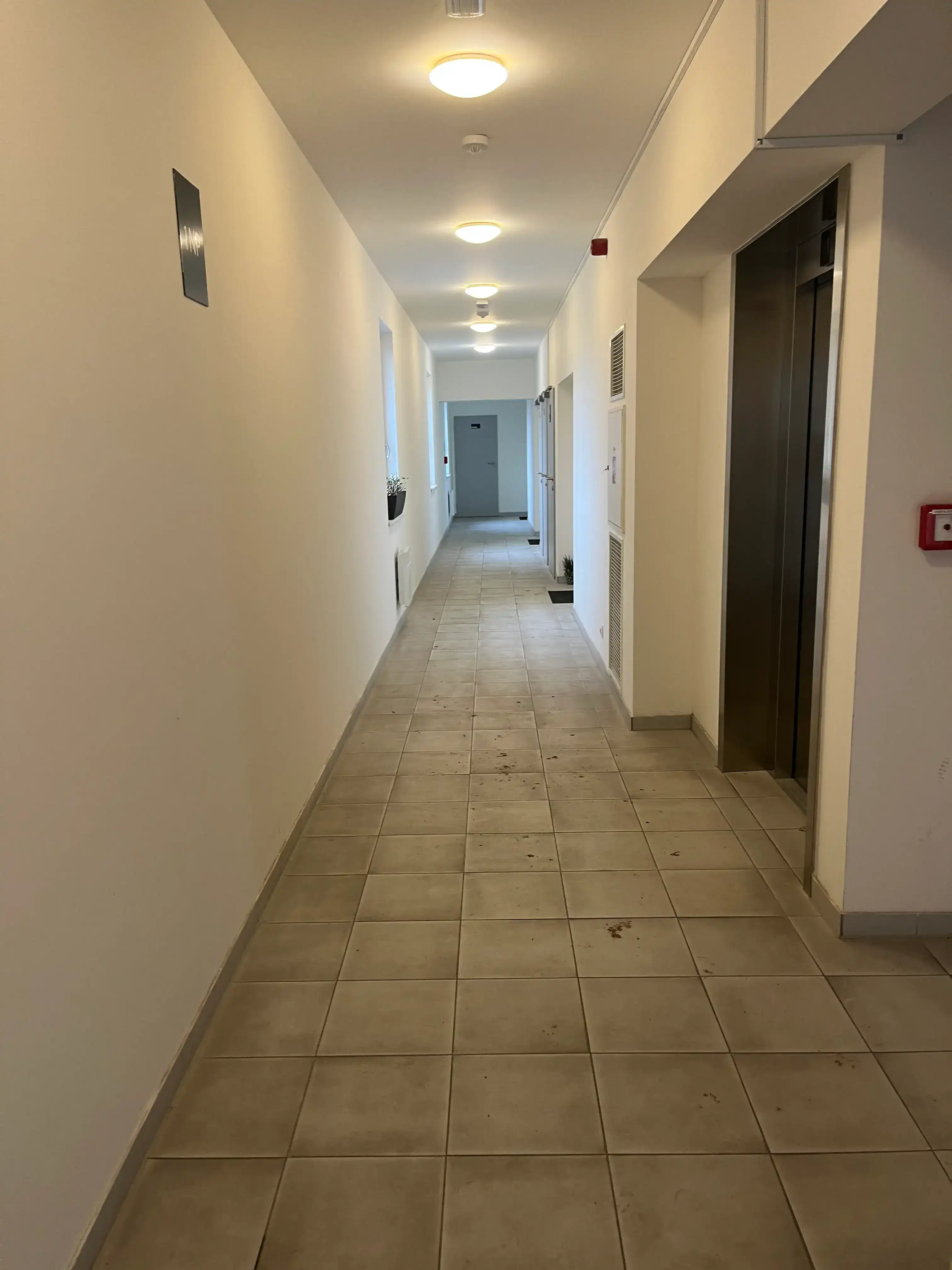 Před úklidem — Chodba | PrimeClean Brno